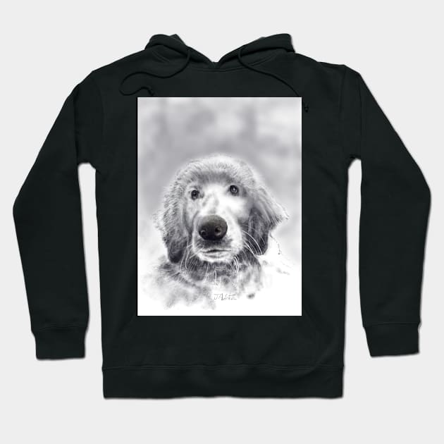 Young golden retriever Hoodie by GunnerStudios